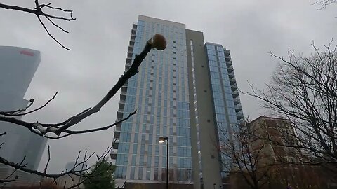 4K No Talking Walking Tour of Center City, Philadelphia, PA, Dog Park Area & More