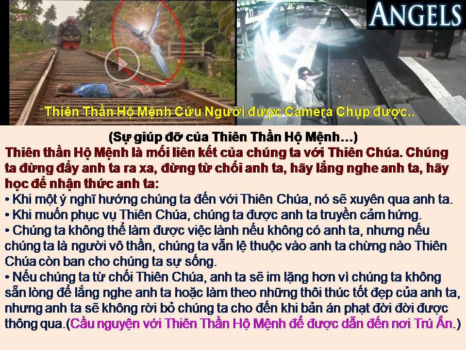 Dành cho những người được Tiền Định để tránh Hỏa Ngục và Sống Sót sau Cuộc Đại Nạn..