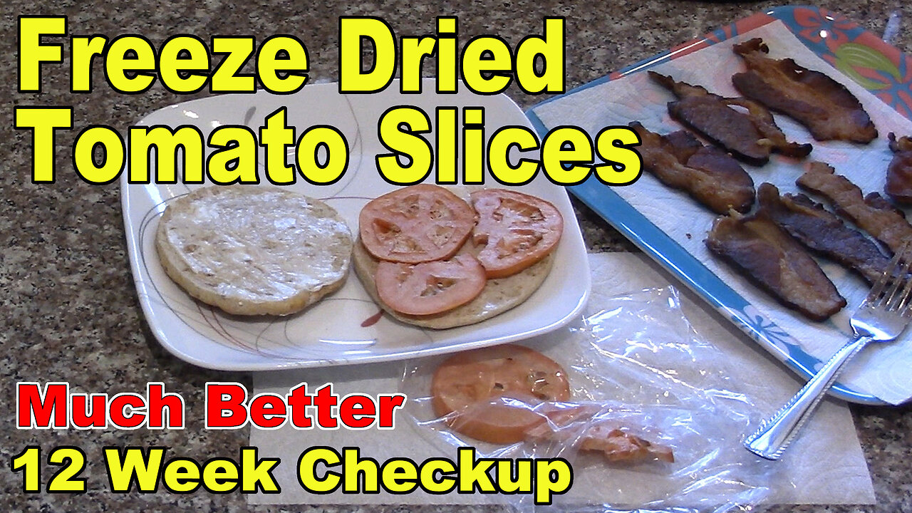 Freeze Dried Tomato Slices - Quick Test/Check After About 12 Weeks (From Batch 609)