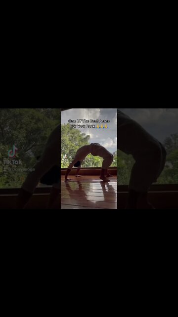 Best Exercise For Back