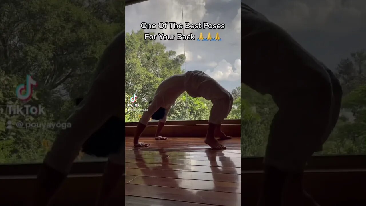 Best Exercise For Back