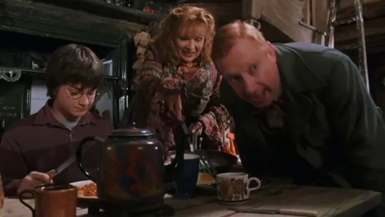 Who are you? | Harry Potter and The Chamber of Secrets