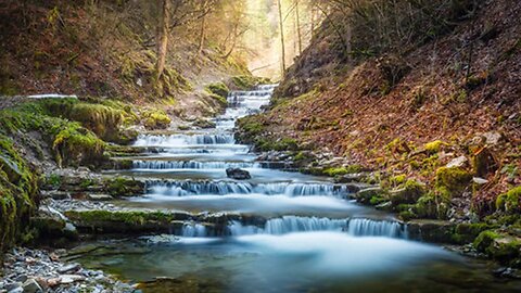 World Mental Health Day | Trickling Water & Birds | Tinnitus & Office Sound Masking Black Screen