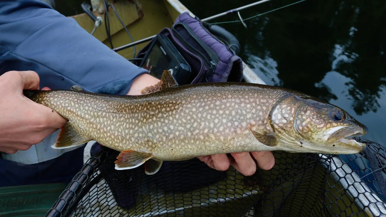 First ICE OUT Spring Lake Trout | Northern Ontario