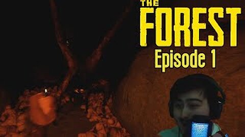 This Cave Was A Bad Idea - The Forest (Episode 1)