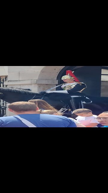 The Queen's guard shouts at tourist get off the reins #horseguardsparade