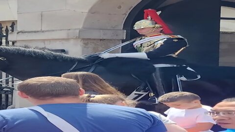 The Queen's guard shouts at tourist get off the reins #horseguardsparade