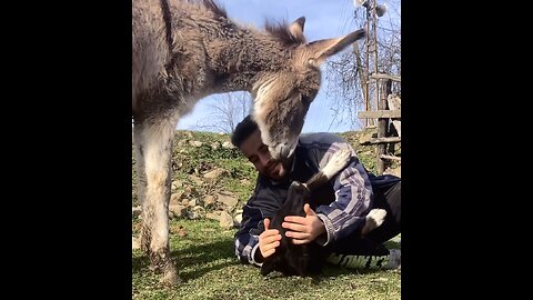 It's like saying "love me too"😅🐴
