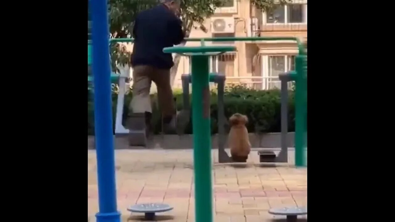 Getting in some exercise...😁😇🐶