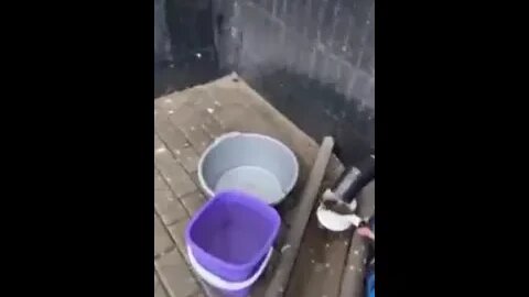 Люди собирают талую воду