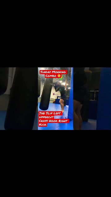 Muay Thai Heavy Bag Combo