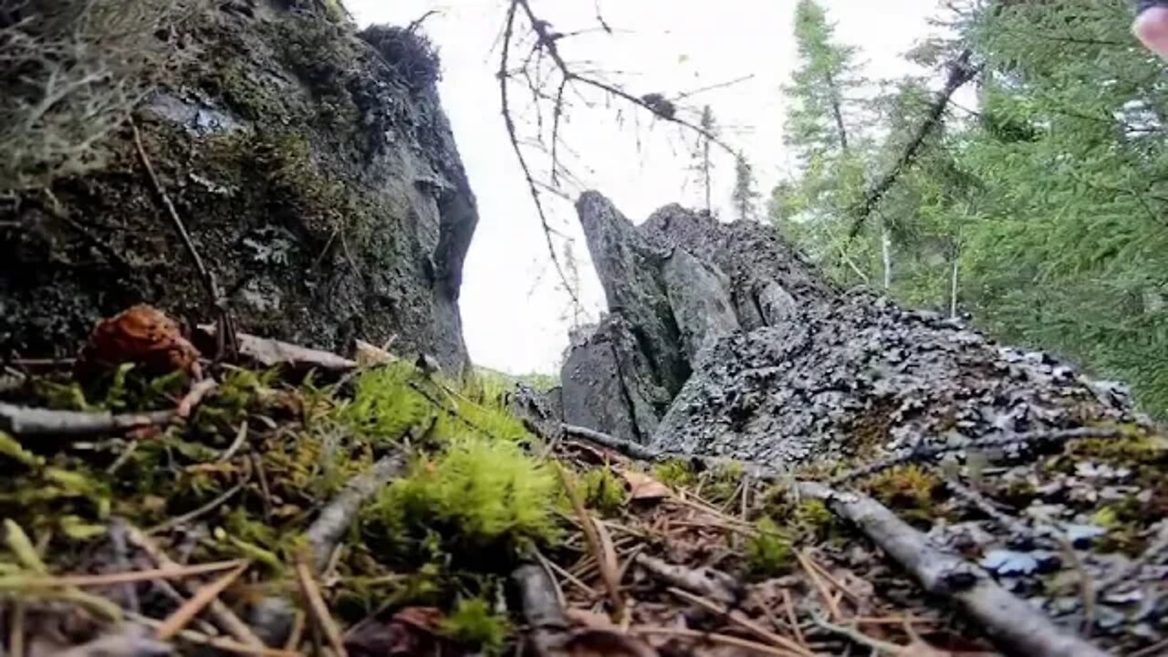 Fresh air Life in the wild is so much fun 1