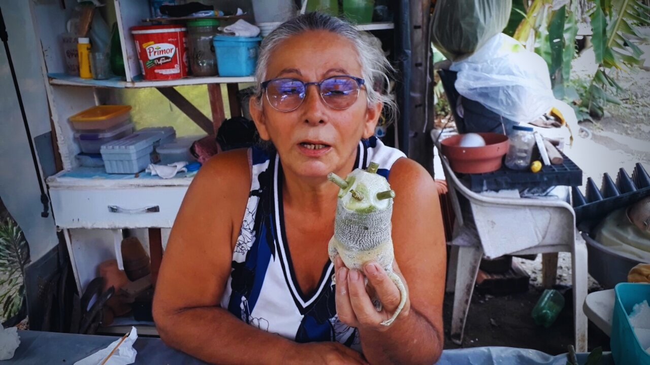 Esse é Um dos Motivos dos Enxertos não Pegarem na sua Rosa do Deserto