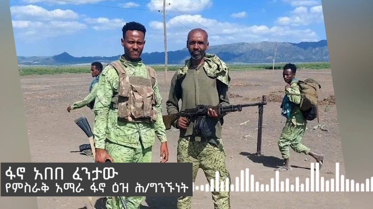 የምስራቅ አማራ ፋኖ ዕዝ ቃል አቀባይ ፋኖ አበበ ፈንታው መጋቢት 30 ቀን 2016 ዓ.ም ስለተጠራው ሰልፍ አስቸኳይ መልዕክት አስተላልፏል።