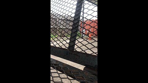 Hinge Sticky