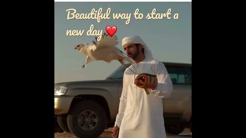 A beautiful sunrise 🌅 #sheikhhamdan #mystories #shorts #fazza