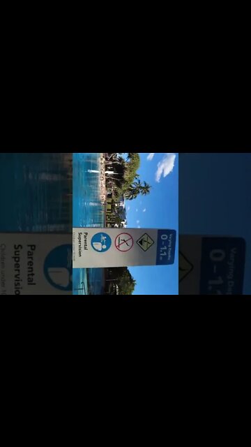 BRISBANE NATURE TOUR