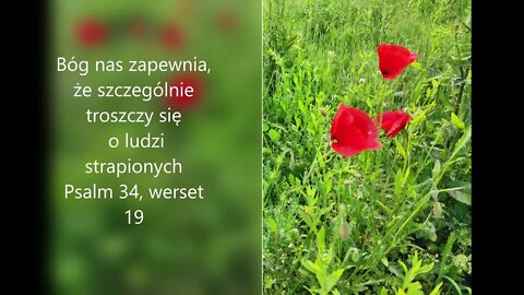 Bóg nas zapewnia ,że szczególnie troszczy się o ludzi strapionych , Psalm 34, werset 19