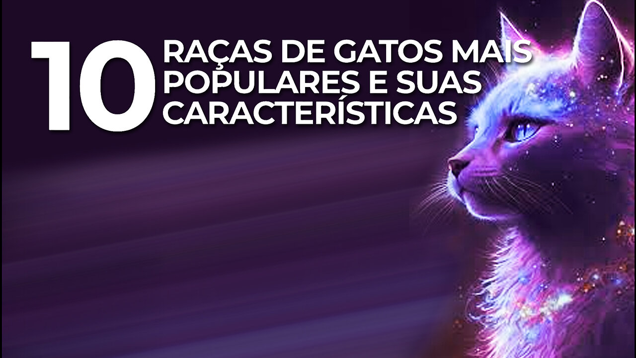 10 raças de gatos e suas características | 10 cat breeds | PET | JV Jornalismo Verdade