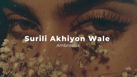 Surili Akhiyon wale (slowed & reverbed) and you can’t stop looking into their eyes