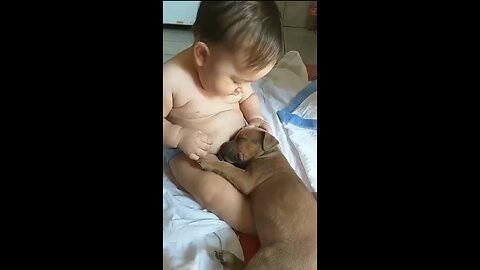 Baby touches sleeping puppy