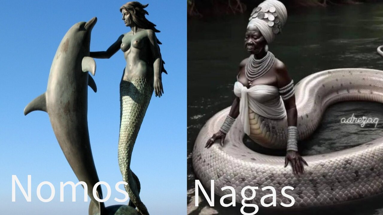 Rashad Jamal Nomos & Nagas