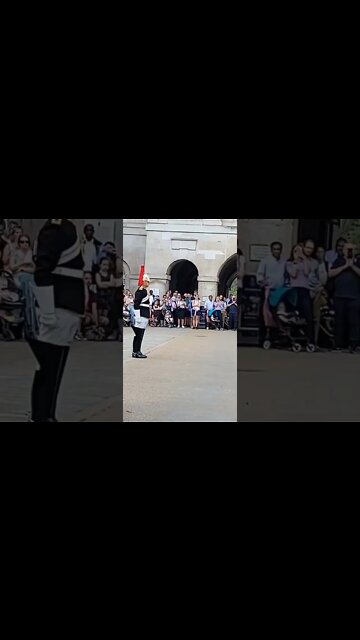 blues and royals dismount #horseguardsparade
