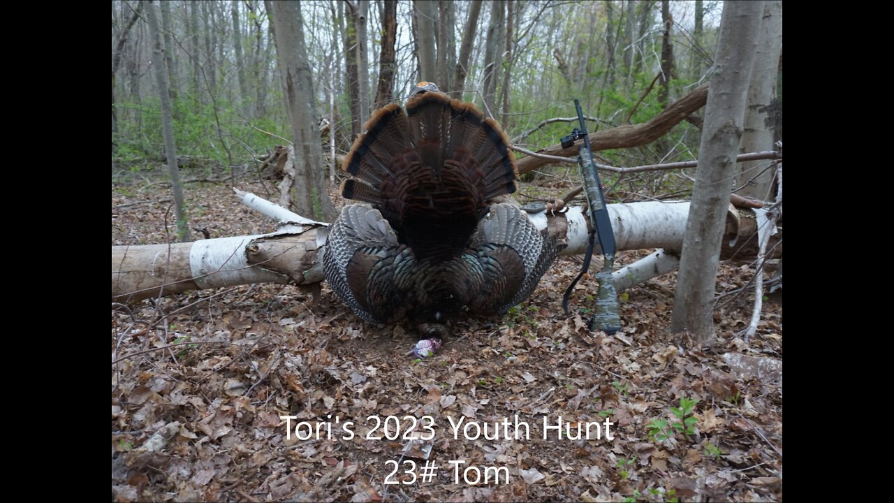 Tori's 2023 Turkey - shorter version