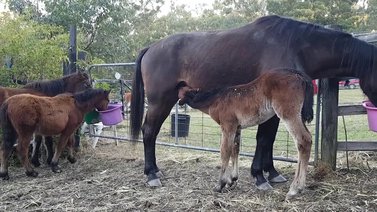 20180717_155630.mp4