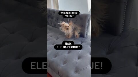 É ele da choque!