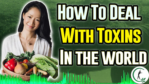 Dealing With Environmental Toxins: What You Need To Know To Stay Healthy