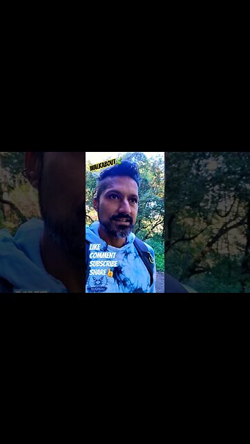 Walkabout🍃 #walking #walk #walkaround #nature #naturelovers #naturespirit #trees #naturehealing