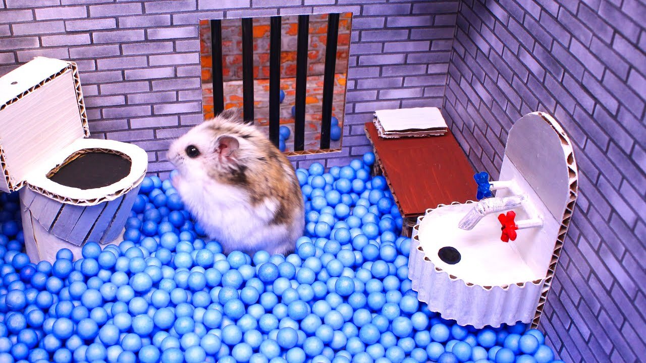 🐹Hamster escapes the awesome maze for Pets in real life 🐹 Part 2