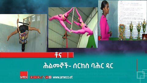 ቶና - ሕልመኞች- ሰርከስ ባሕር ዳር