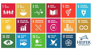 "Charity" Meets UN's Sustainable Development Goals