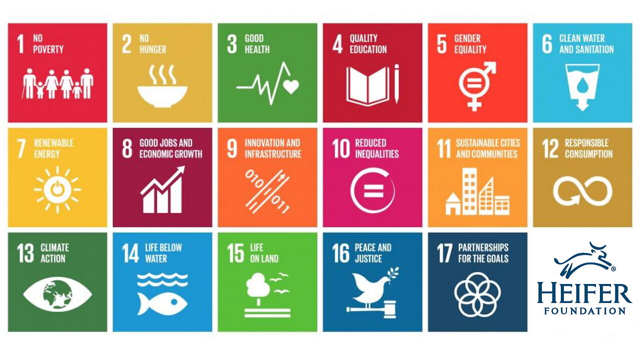 "Charity" Meets UN's Sustainable Development Goals