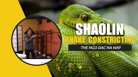 Shaolin Snake Constricting | Kung Fu Training Question