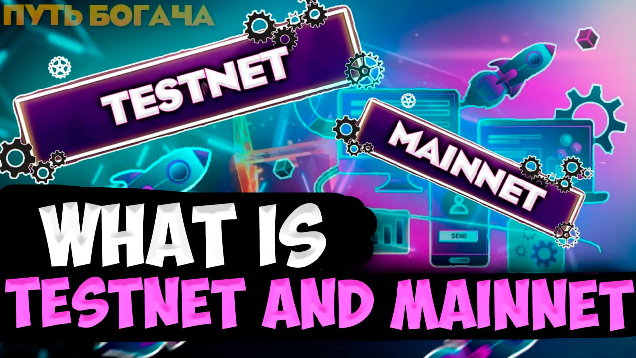 What is TESTNETN and MAINNET in cryptocurrency