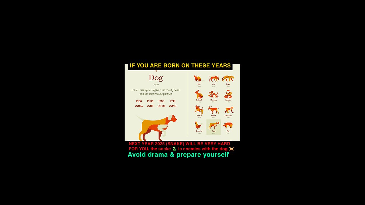 ARE YOU BORN ON THE YEAR OF THE DOG/GOD