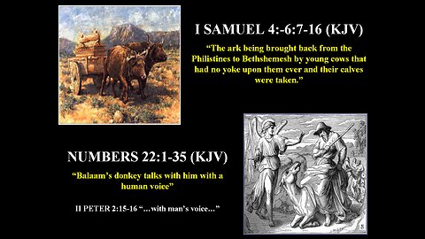 Dinosaurs on The Ark? Part#9