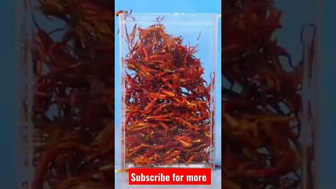 Simple life hacks l World Info Point l #lifehacks #shorts #trending #viral #amazing #simple