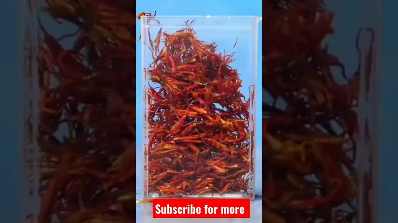 Simple life hacks l World Info Point l #lifehacks #shorts #trending #viral #amazing #simple