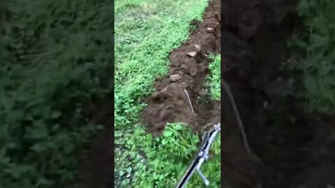Plowing with a Brinley plow