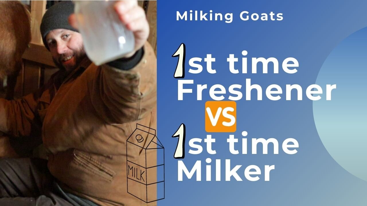 Milking 1st time Freshener Goats| Farm Vlog #Goats #Goatsmilk