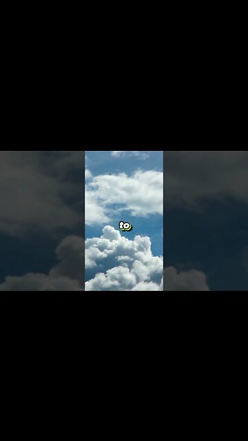 Have you seen the snake in the fridge #funny #trending #snake