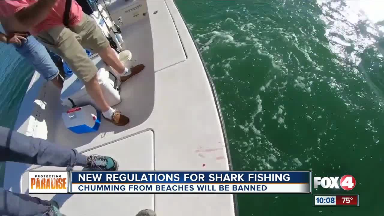 New rules protecting sharks to take effect