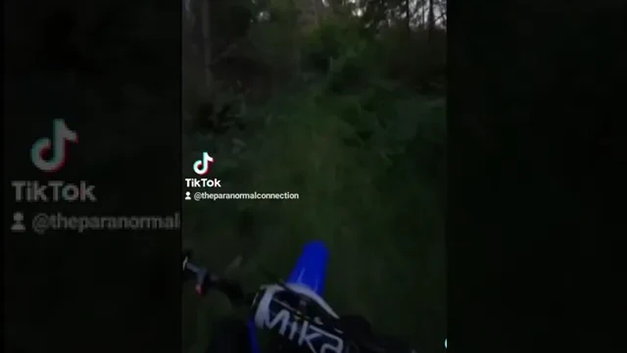 The Return