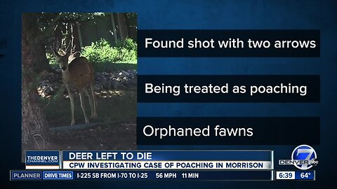 Doe found with arrows in her body in Morrison neighborhood