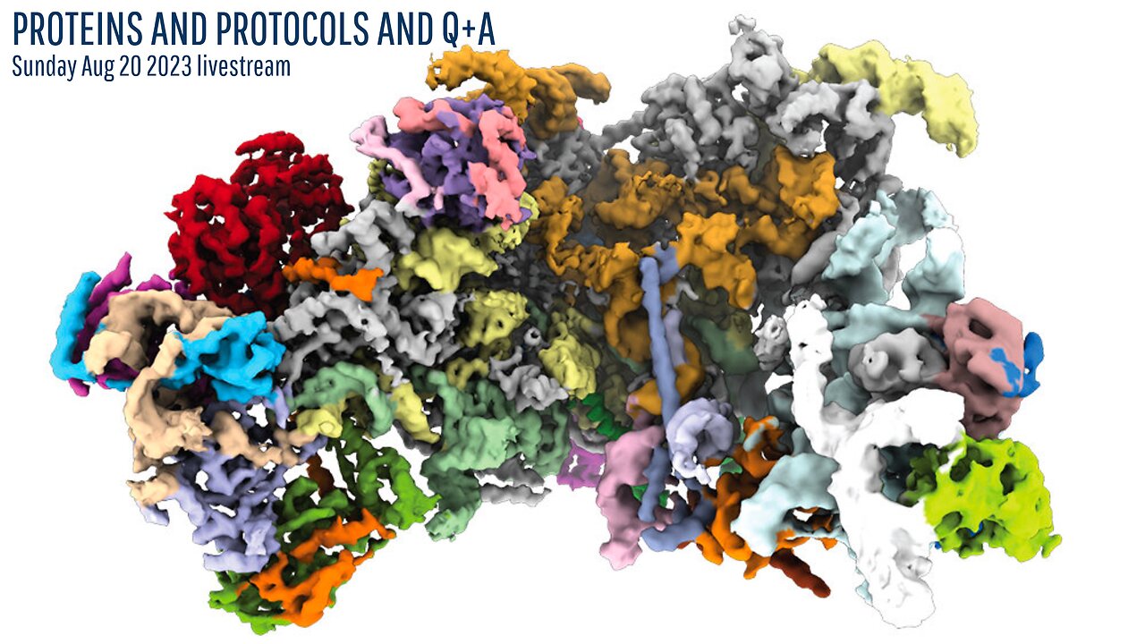 Sunday Aug 20 2023 livestream - Protocols and Proteins and Q+A