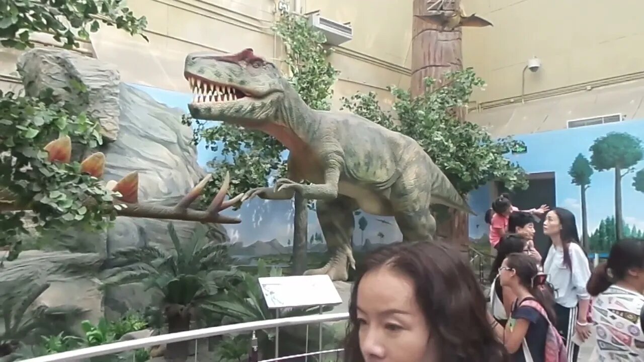 MUSEUM OF NATURAL HISTORY🌏🏛 #travel #youtube #newvideo #subscriber #beijing #video #china #history